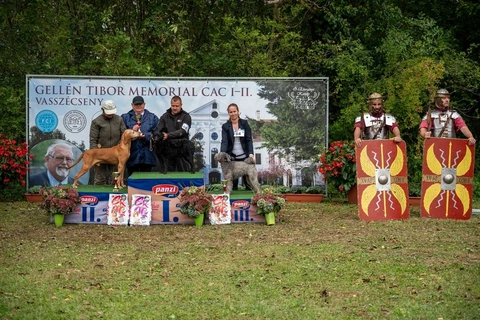 Gellén Tibor Memorial CAC