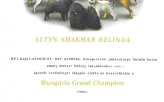 ALTYN SHAKHAR BELINDA 