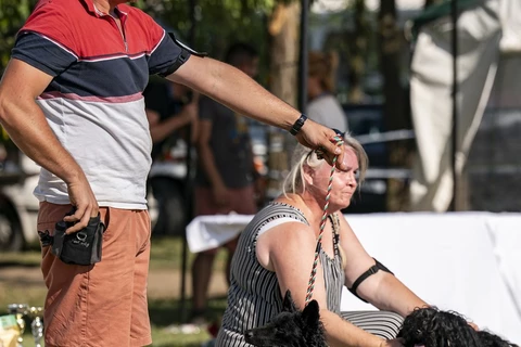 DAYS 3 CACIB INTERNATIONAL DOG SHOW KECSKEMÉT 