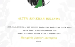 ALTYN SHAKHAR BELINDA 