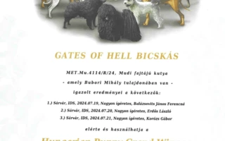 Gates Of Hell Bicskás