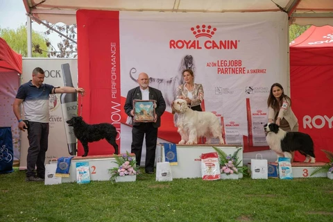 Special Champion Dog Show, CAC + 2 CACIB Pécs
