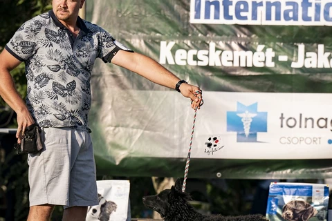 DAYS 3 CACIB INTERNATIONAL DOG SHOW KECSKEMÉT 