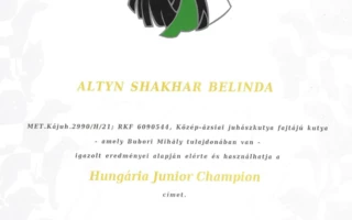 ALTYN SHAKHAR BELINDA 