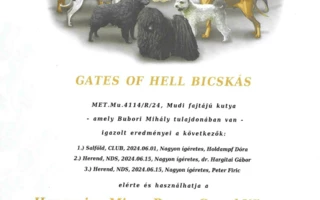 Gates Of Hell Bicskás